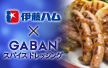 �ɓ��n���~GABAN&reg;�X�p�C�X�h���b�V���O