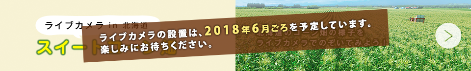 ライブカメラ in 北海道 スイートコーン畑（ライブカメラの設置は、2017年6月ごろを予定しています。楽しみにお待ち下さい。）