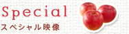 Special �X�y�V�����f��