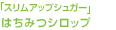 �u�X�����A�b�v�V���K�[�v�͂��݂V���b�v