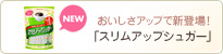 ���������A�b�v�ŐV�o��I�u�X�����A�b�v�V���K�[�v
