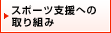 �X�|�[�c�x���ւ̎��g��