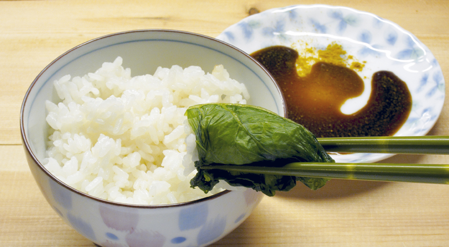 AJIテク No.0462