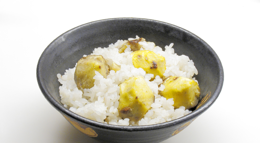 AJIテク No.0658