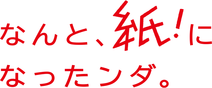 なんと、紙！になったンダ。