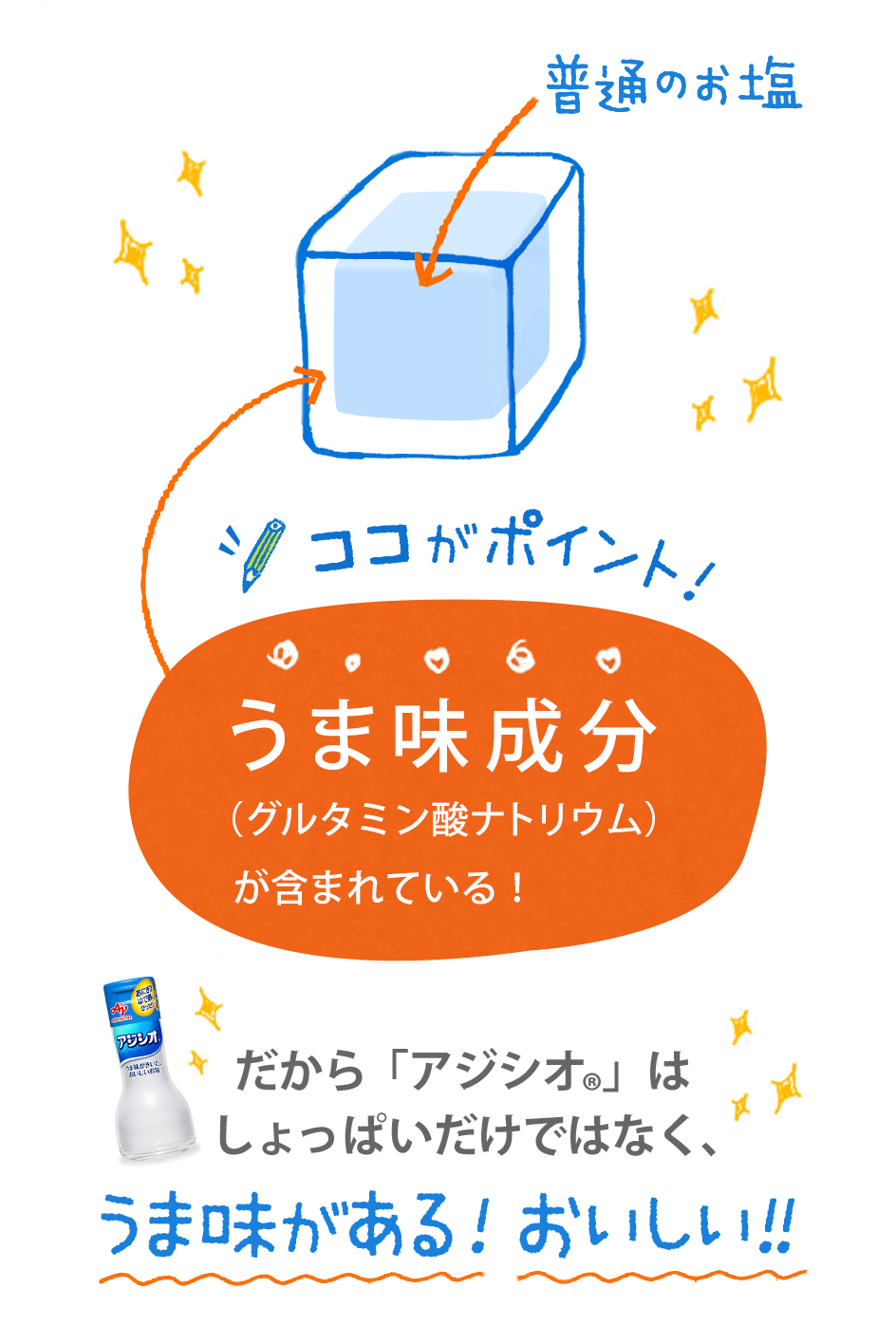 だから「アジシオ®」はしょっぱいだけではなく、うま味がある！おいしい！！ココがポイント！うま味成分（グルタミン酸ナトリウム）が含まれている！