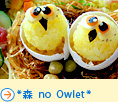 *森 no Owlet*