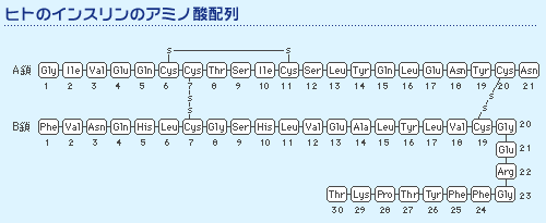 アミノ酸配列