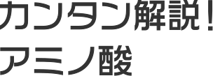 カンタン解説！アミノ酸