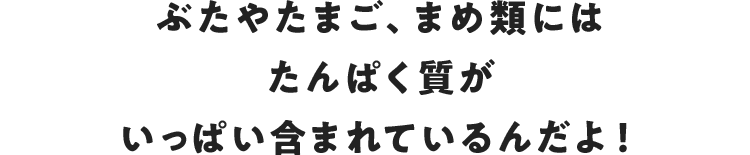 ぶたやたまご、まめ類にはたんぱく質がいっぱい含まれているんだよ！