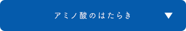 アミノ酸のはたらき