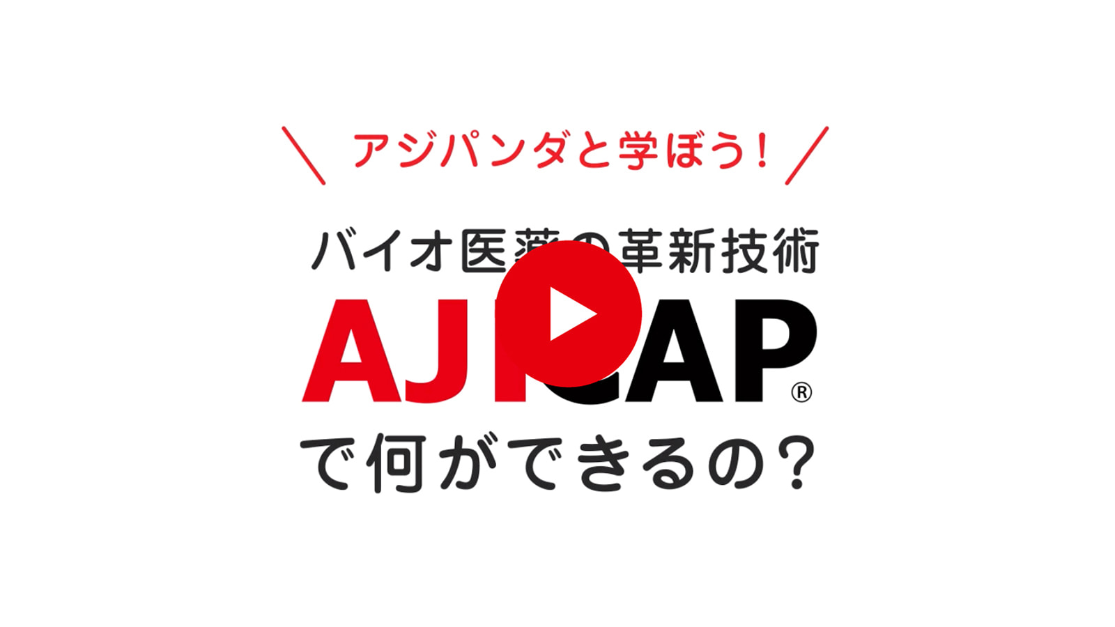 アジパンダと学ぼう!バイオ医薬の革新技術AJICAPで何ができるの？