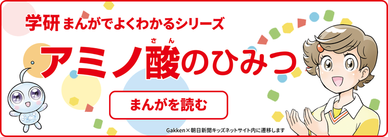 アミノ酸のひみつ