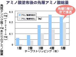 アミノ酸塗布後の角層アミノ酸総量