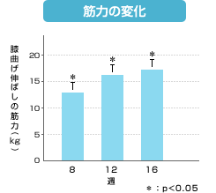 筋力の変化