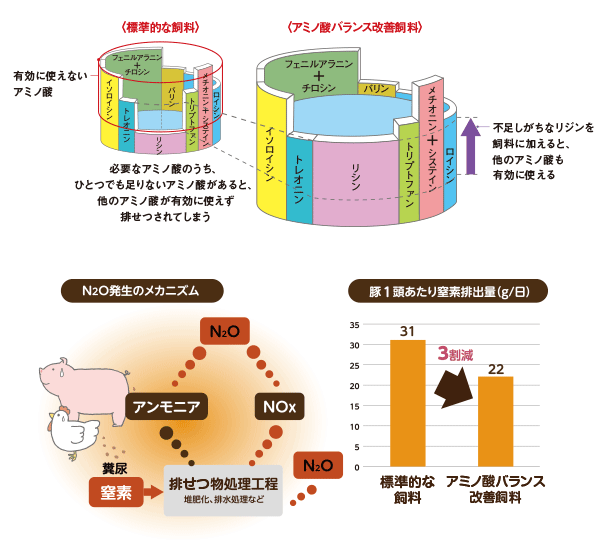 食肉生産を支えるアミノ酸 より深く知る アミノ酸のヒミツ アミノ酸大百科 味の素株式会社