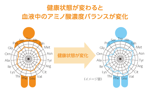 血中のアミノ酸バランスで病気のリスクをチェック|生活で役立つ ...