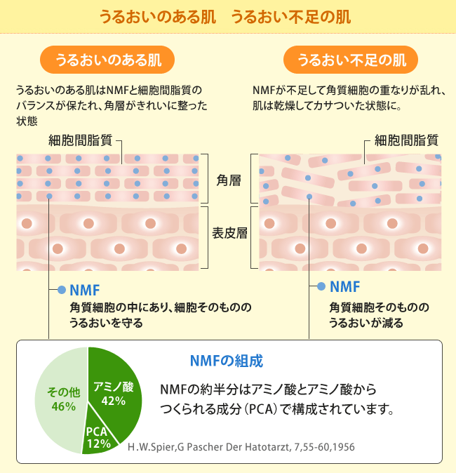 うるおいのある肌　うるおい不足の肌