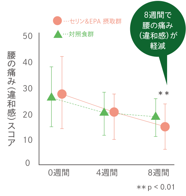 腰の痛み(違和感)スコア