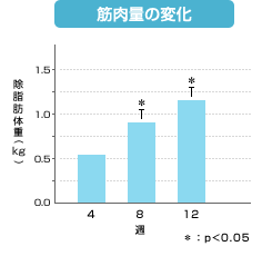 筋肉量の変化