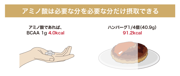 アミノ酸は必要な分を必要な分だけ摂取できる