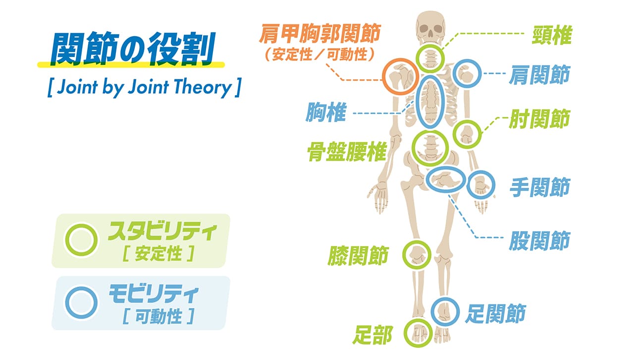 競技パフォーマンスを高める「動ける強いカラダ」とは？