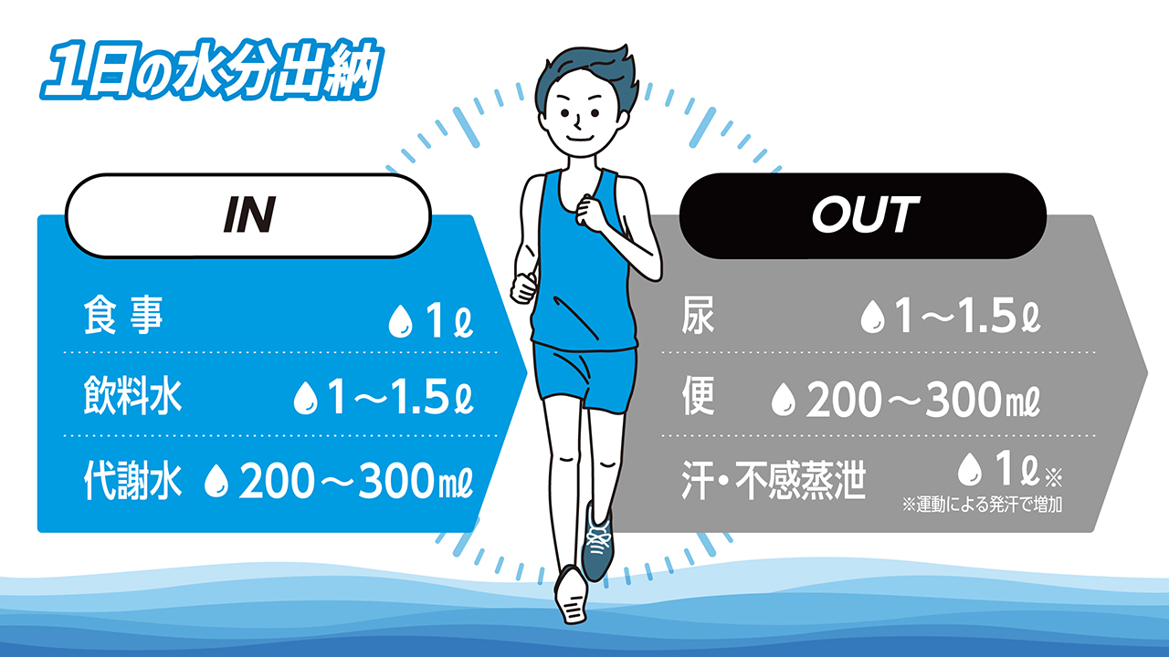 本格的な暑さに備える!夏のコンディショニングは水分補給がカギ 2
