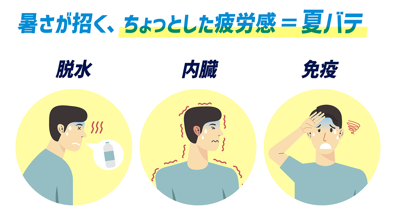 夏バテを防ぎ、疲労を溜めない!スタミナアップを意識した食事戦略