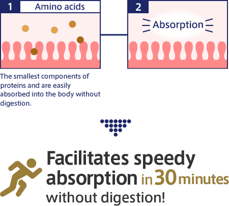 1. Amino acids The smallest components of proteins and are easily absorbed into the body without digestion. 2. Absorption ＞ Facilitates speedy absorption in 30 minutes without digestion!