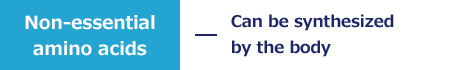 Non-essential amino acids - Can be synthesized by the body