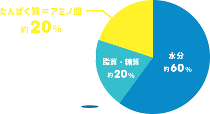 アミノ酸グラフ