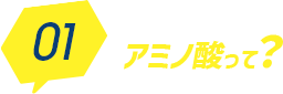 01アミノ酸って？