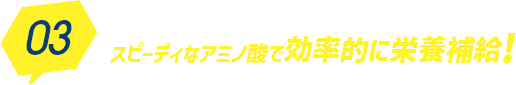 03スピーディなアミノ酸で効率的に栄養補給!
