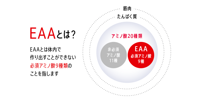 EAAとは? EAAとは体内で作り出すことができない必須アミノ酸9種類のことを指します