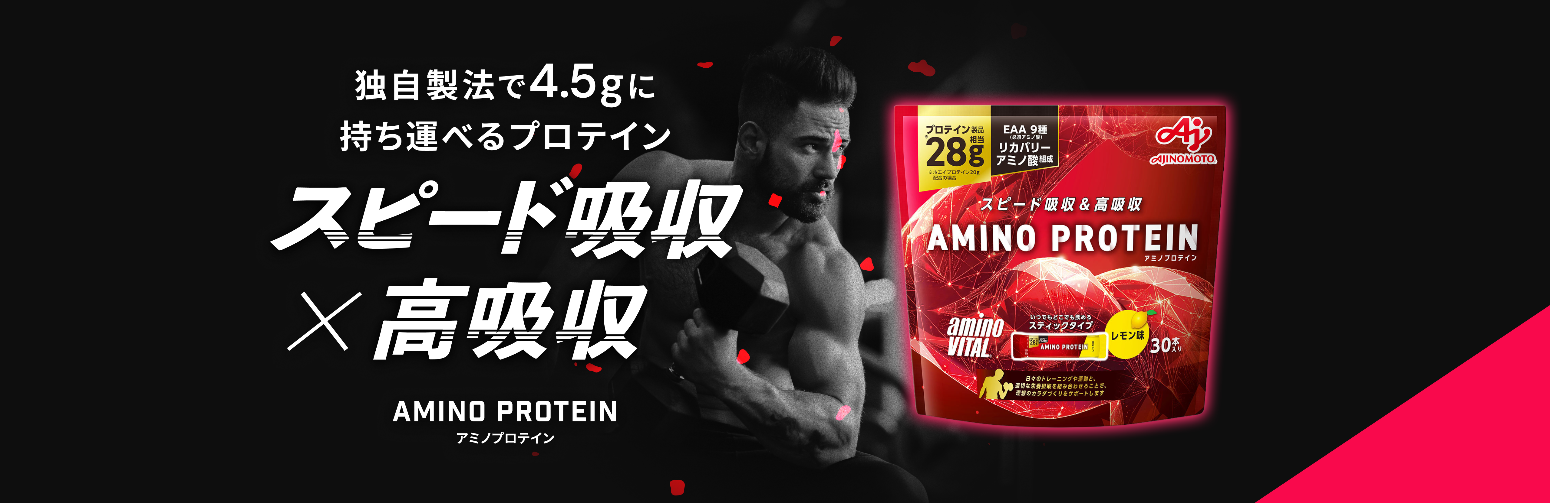 アミノプロテイン