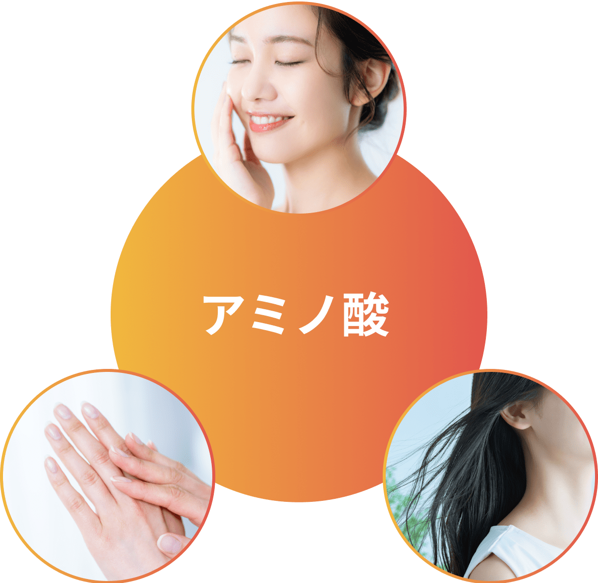 アミノ酸を補うことで、美容にも役立つことがわかっています