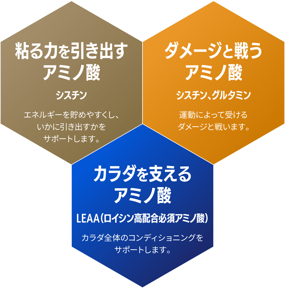 スポーツ栄養科学研究に基づき開発されたトリプルコンディショニング組成