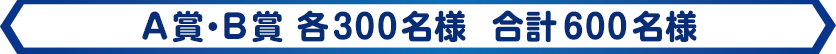 A賞・B賞各300名様 合計600名様