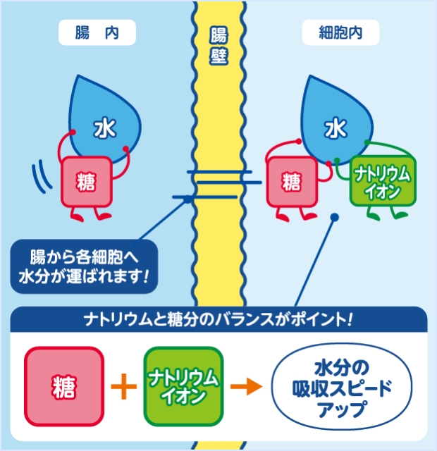ポイント1 イメージ