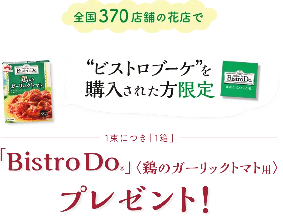 
            全国370店舗の花店で
            ビストロブーケを購入された方限定
            1束につき「1箱」
            「Bistro Do®」鳥のガーリックトマト用
            プレゼント！
          