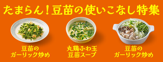 たまらん！豆苗の使いこなし特集