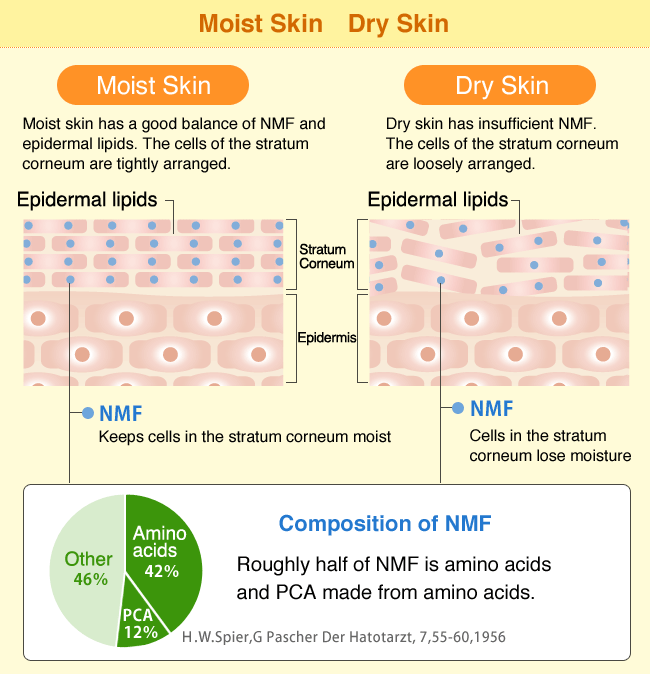 Moist Skin Dry Skin