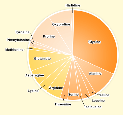 Amino Acid Composition of Collagen