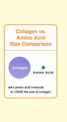 Size Comparison