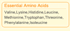 Essential Amino Acids