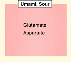 Amino Acids Work together to Produce the Taste of Foods!