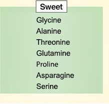 Amino Acids Work together to Produce the Taste of Foods!