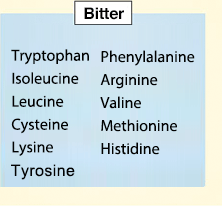 Amino Acids Work together to Produce the Taste of Foods!