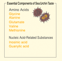 Essential Components of Sea Urchin Taste