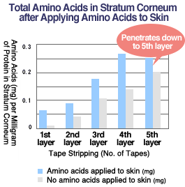 Total Amino Acids in Stratum Corneum after Applying Amino Acids to Skin
